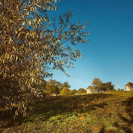 Scandinave Chalet Bran Zărneşti Eksteriør bilde