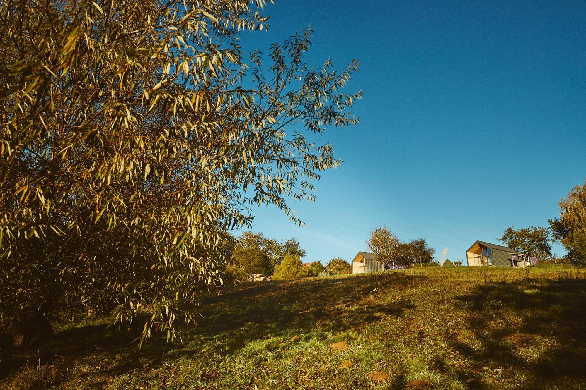 Scandinave Chalet Bran Zărneşti Eksteriør bilde