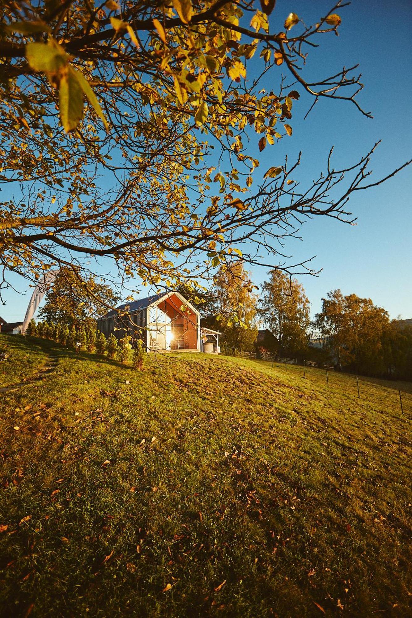 Scandinave Chalet Bran Zărneşti Eksteriør bilde