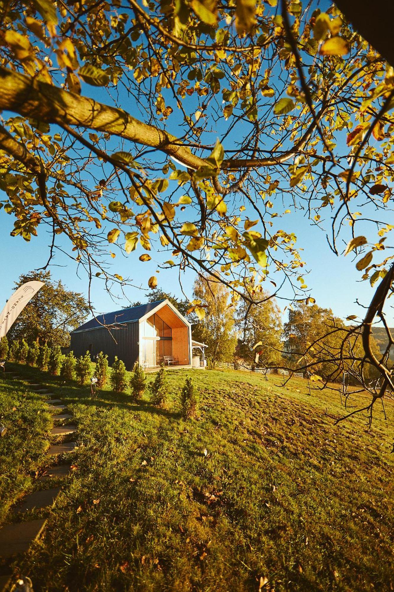 Scandinave Chalet Bran Zărneşti Eksteriør bilde