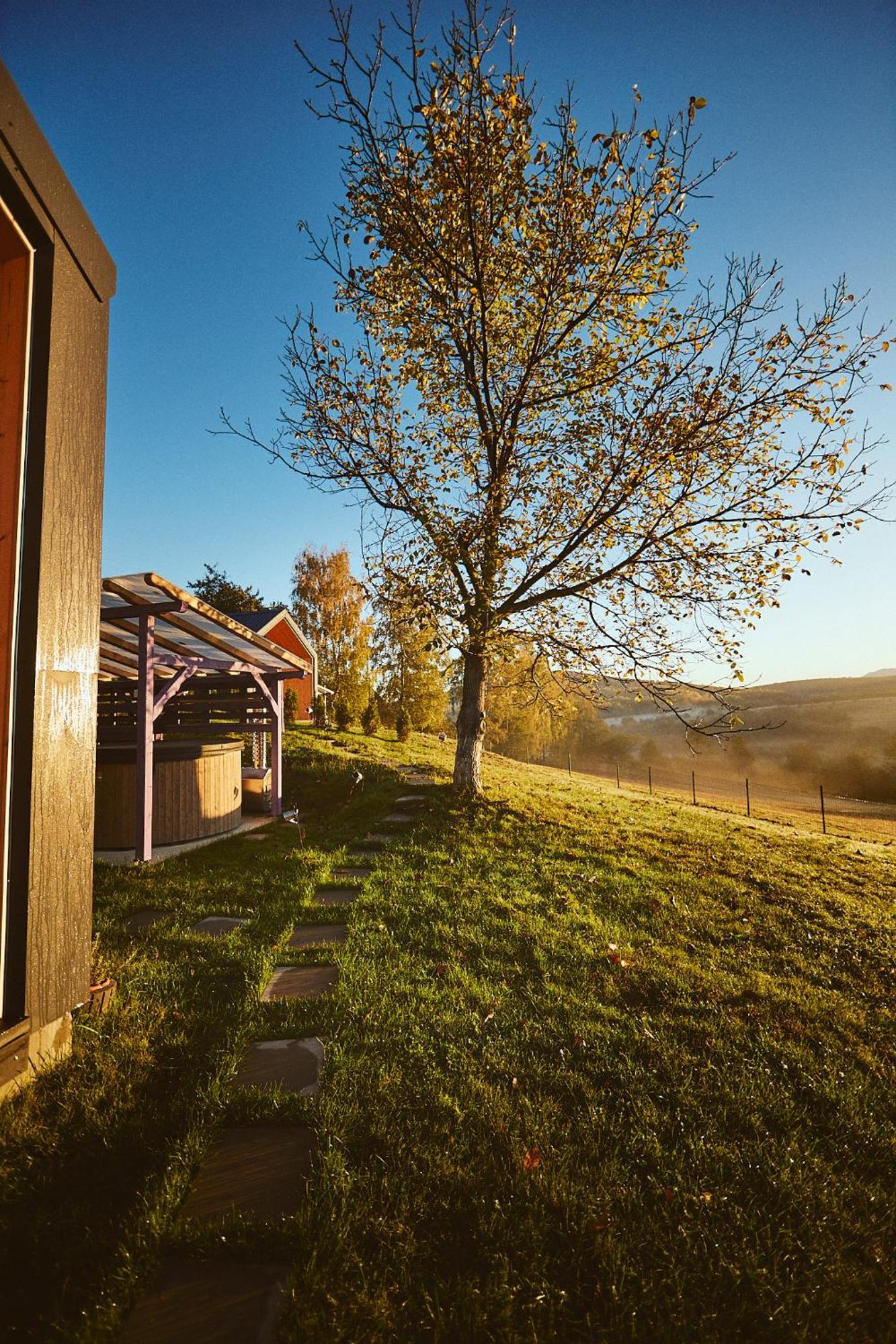 Scandinave Chalet Bran Zărneşti Eksteriør bilde