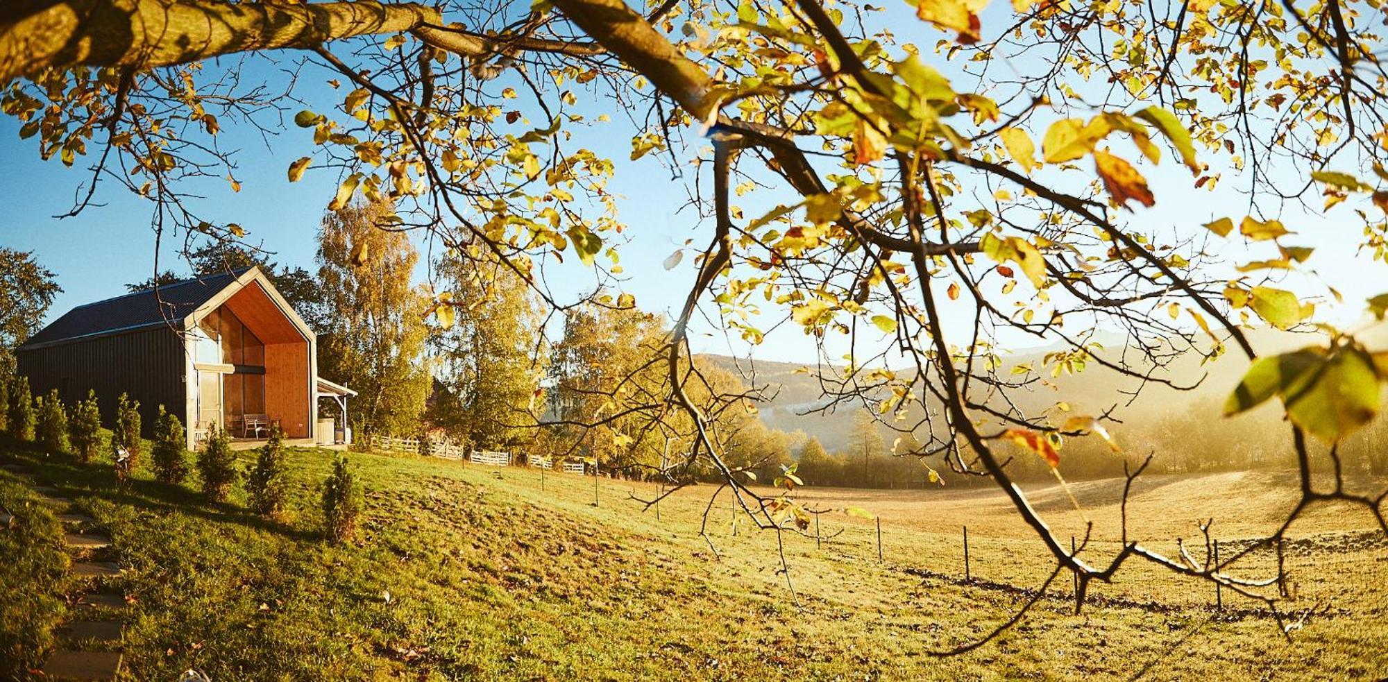 Scandinave Chalet Bran Zărneşti Eksteriør bilde