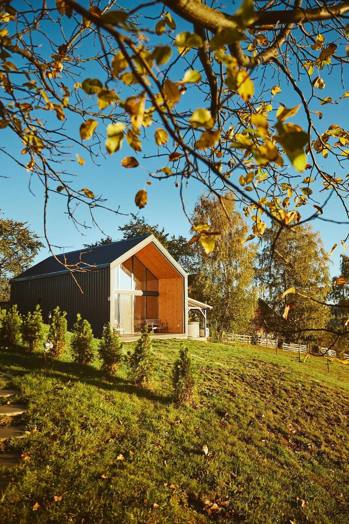 Scandinave Chalet Bran Zărneşti Eksteriør bilde