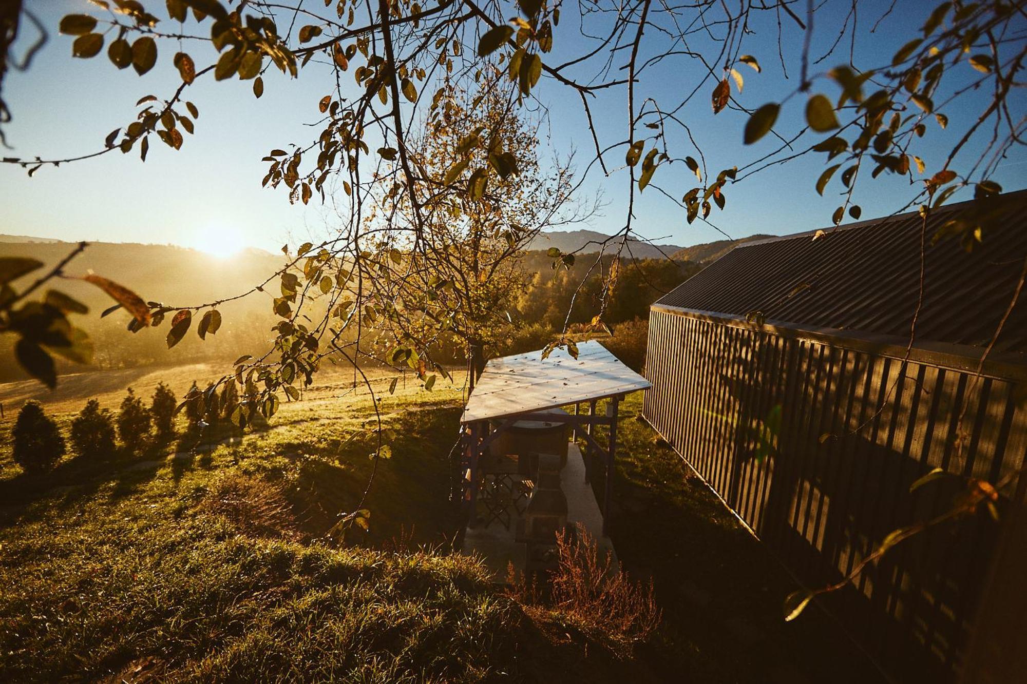 Scandinave Chalet Bran Zărneşti Eksteriør bilde