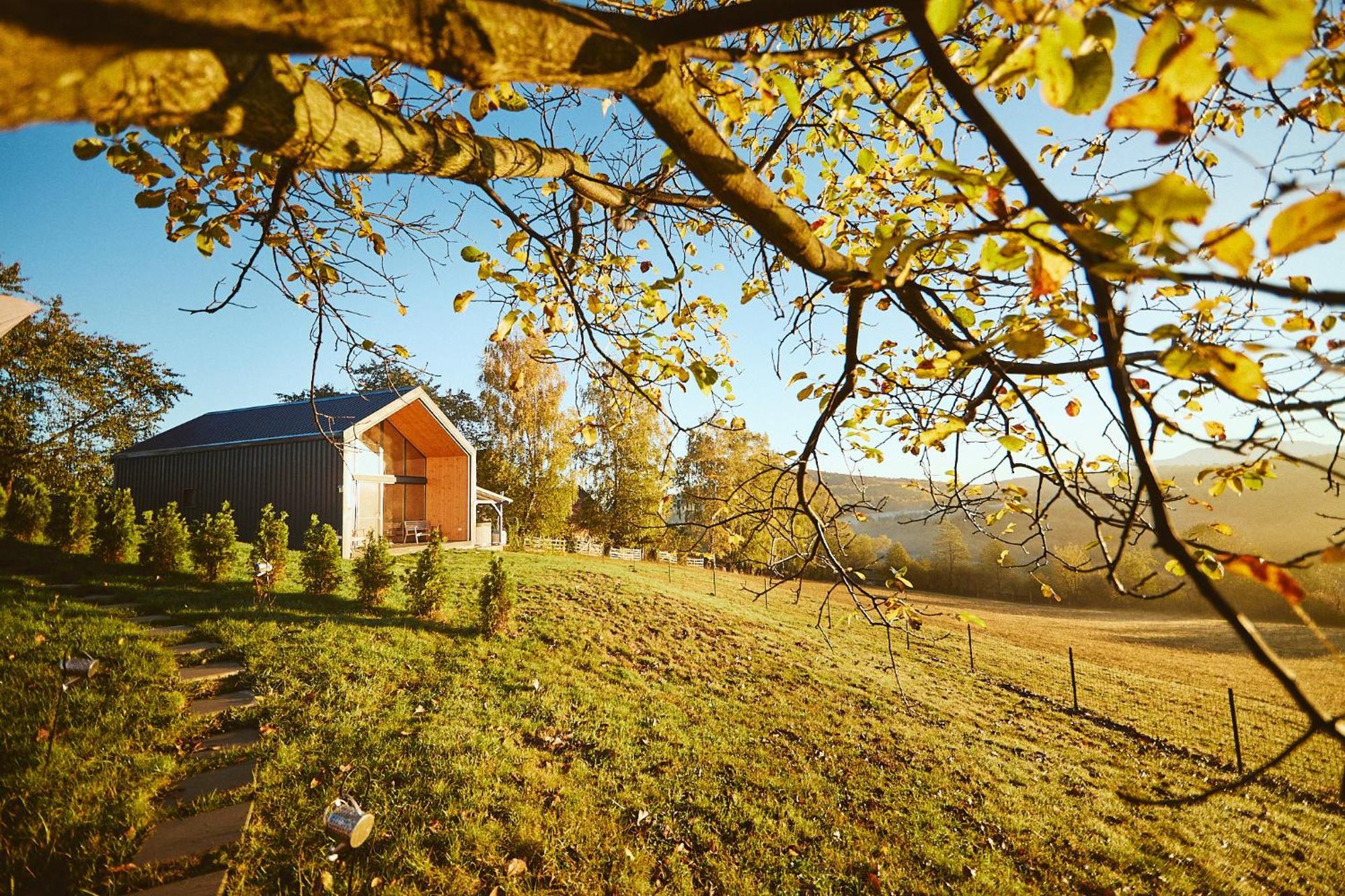 Scandinave Chalet Bran Zărneşti Eksteriør bilde