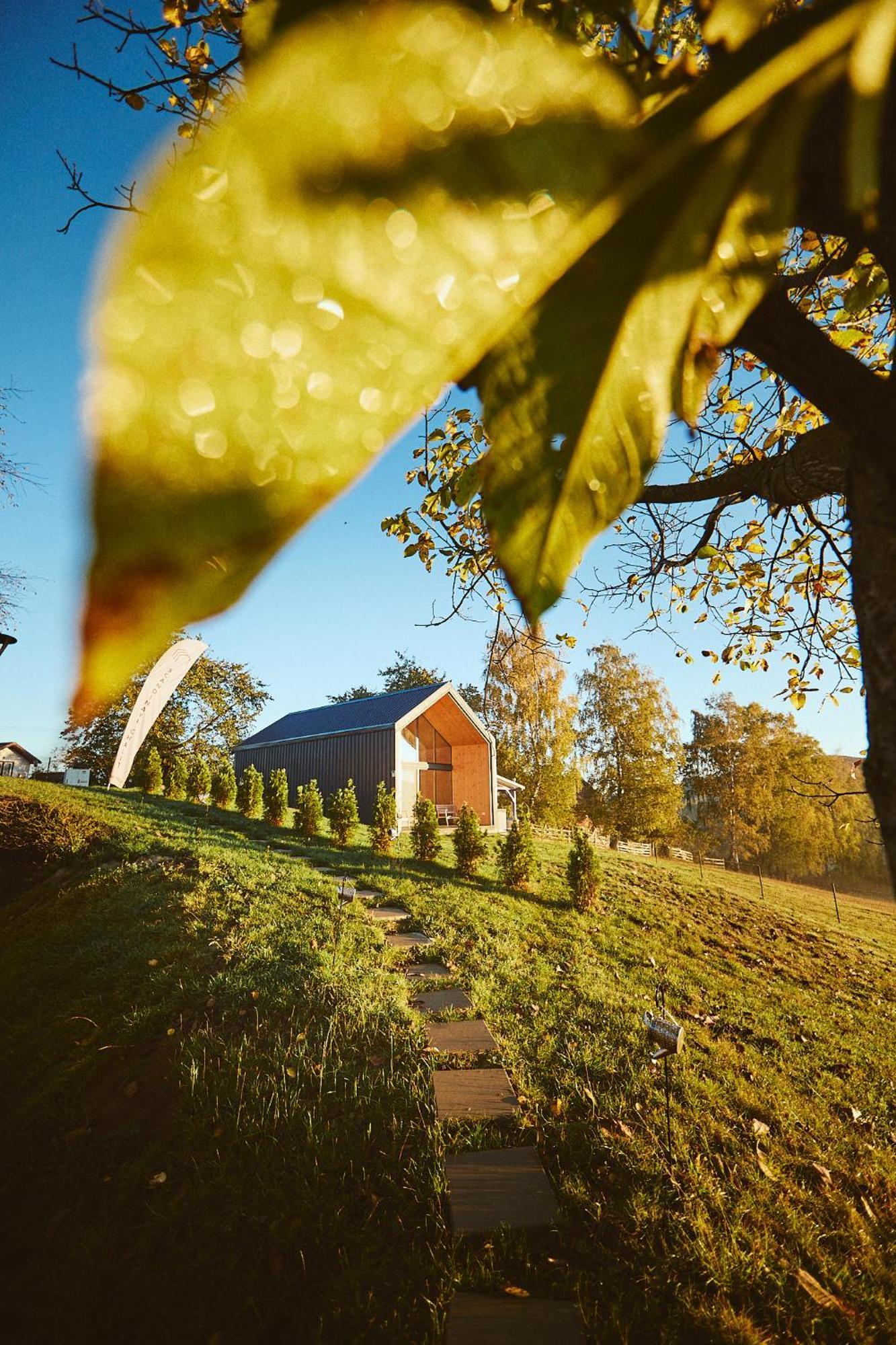 Scandinave Chalet Bran Zărneşti Eksteriør bilde