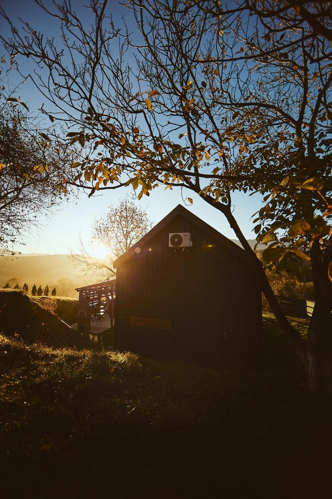 Scandinave Chalet Bran Zărneşti Eksteriør bilde