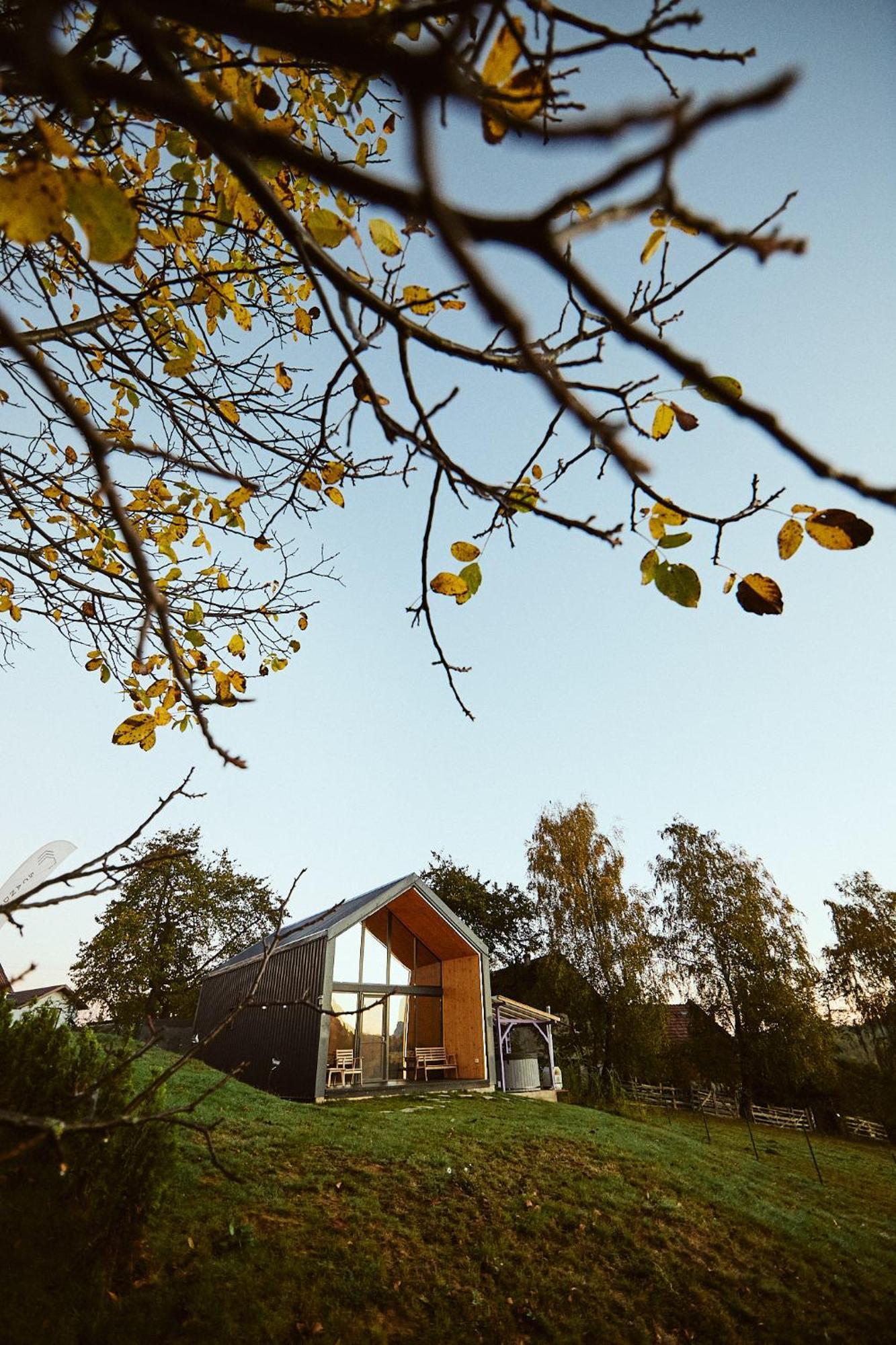 Scandinave Chalet Bran Zărneşti Eksteriør bilde