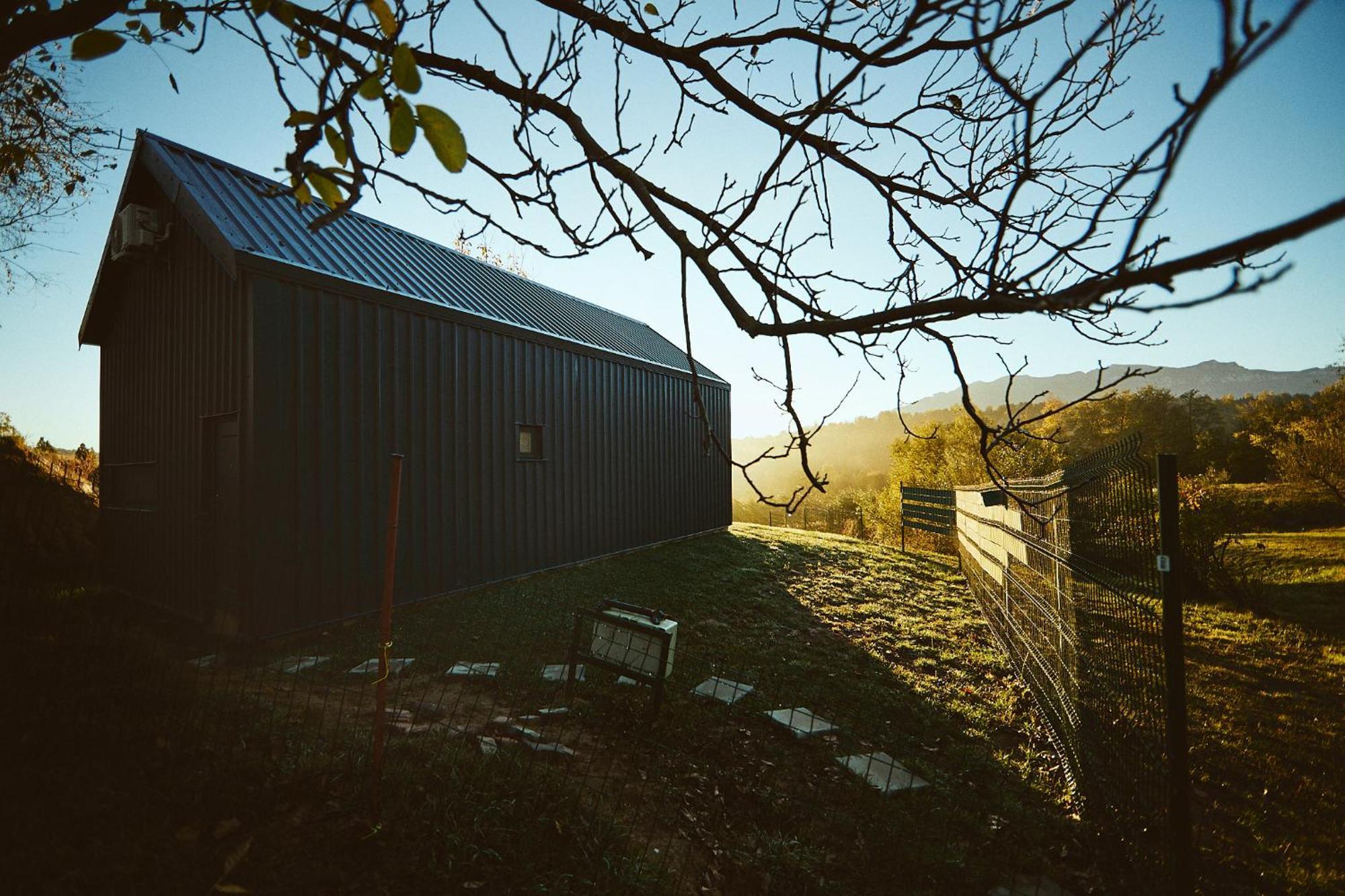Scandinave Chalet Bran Zărneşti Eksteriør bilde
